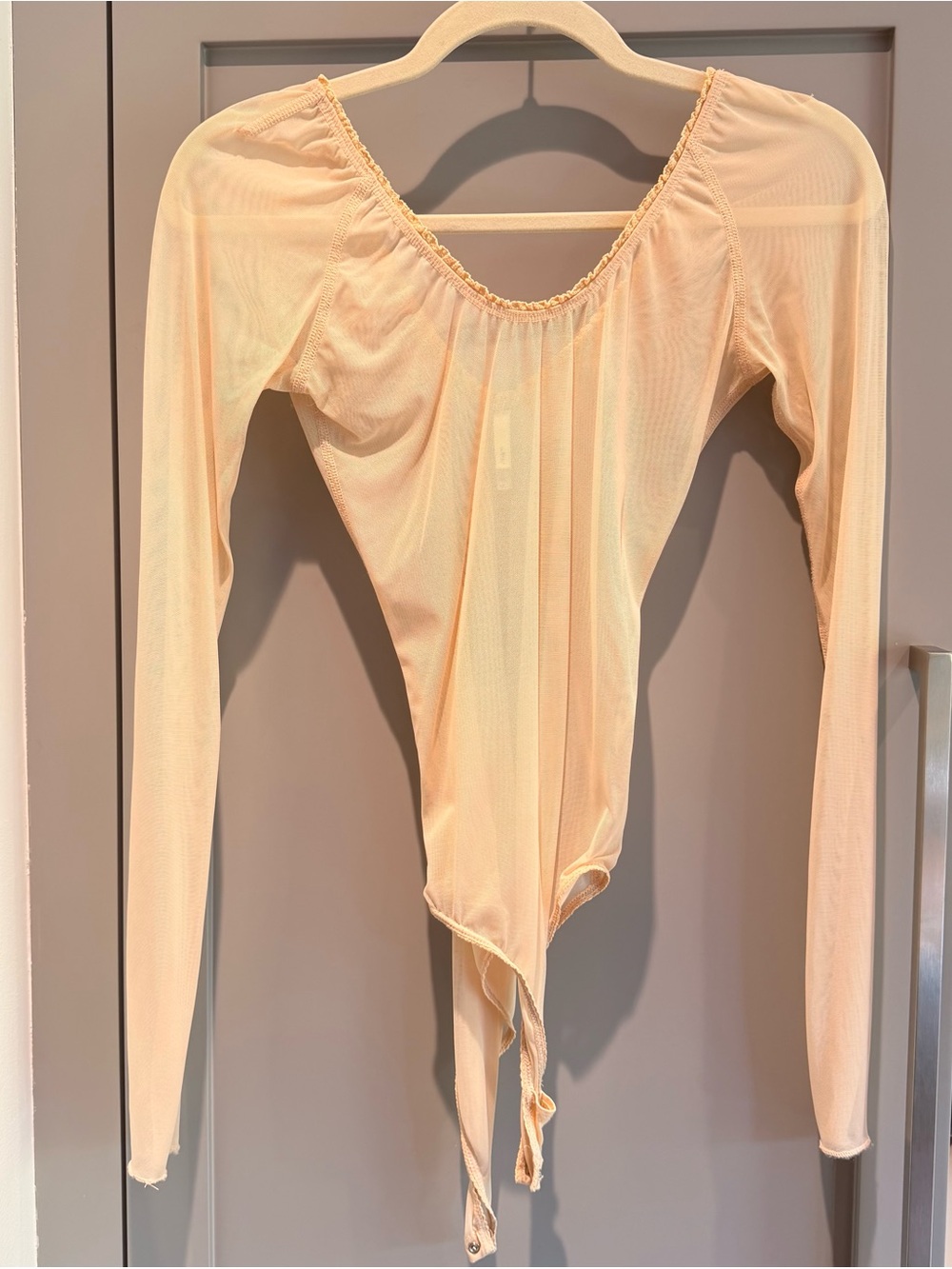 Wilfred Sheer Long-Sleeve Mesh Bodysuit in Light Beige
